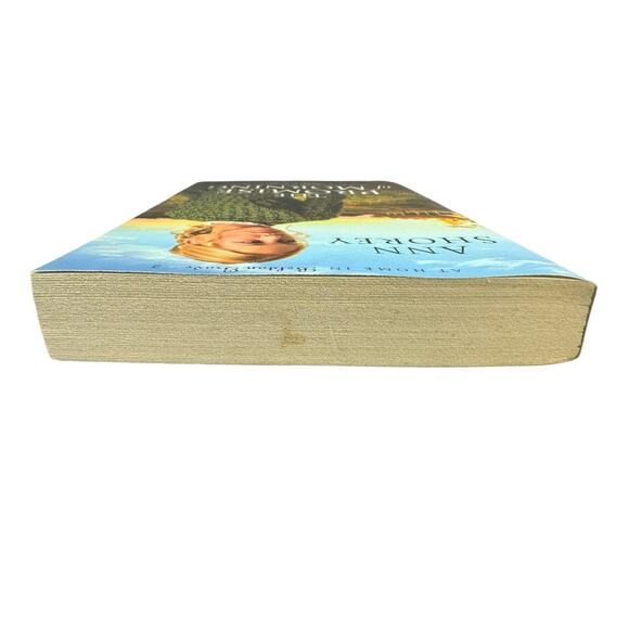 The Promise of Morning by Ann Shorey (Paperback) - Picture 6 of 6